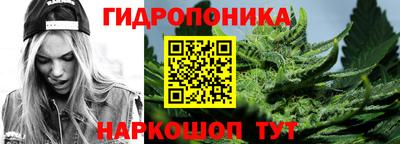 jwh Апшеронск