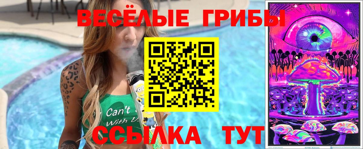 Псилоцибиновые грибы Psilocybe  Вход с VPN  Благодарный  как найти закладки  Галлюциногенные грибы ЛСД 